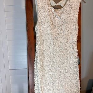 Elegant Cream Sequin Dress